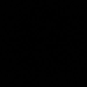 Meet your Posher, Anamaria